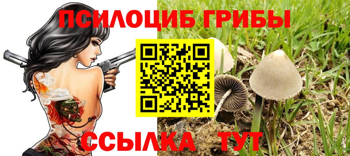 Галлюциногенные грибы Magic Shrooms  Вход с VPN  Кинель 