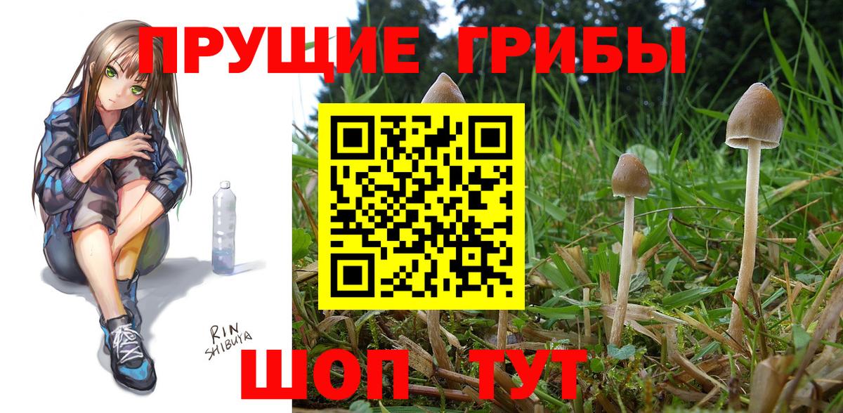 Галлюциногенные грибы GOLDEN TEACHER Кинель
